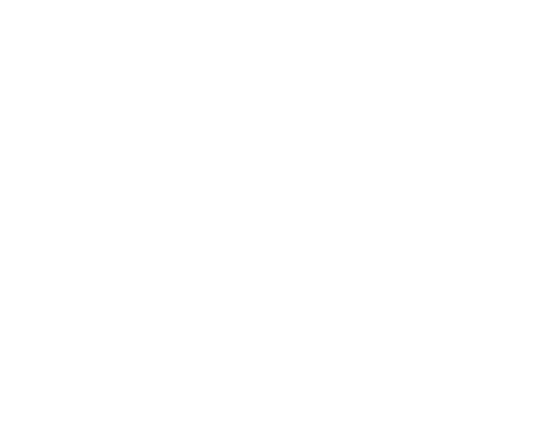 Zuum